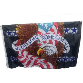 F-15 All Gave Some Some Gave All 3×5