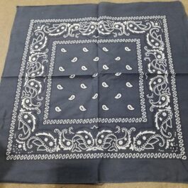Bandana 10 – Gray Paisley (BN51)