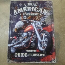 C-Metal Sign 38 A Real American Lives Here